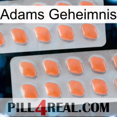 Adams Secret 27